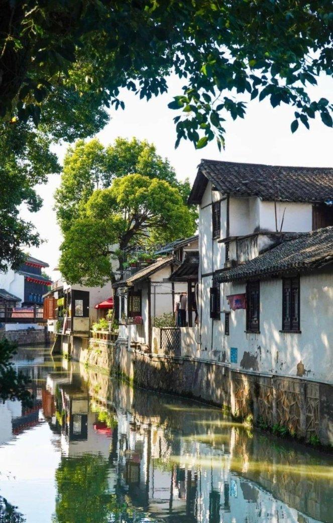 枣庄市卫健委副主任王晶到市中区走访慰问百岁老人